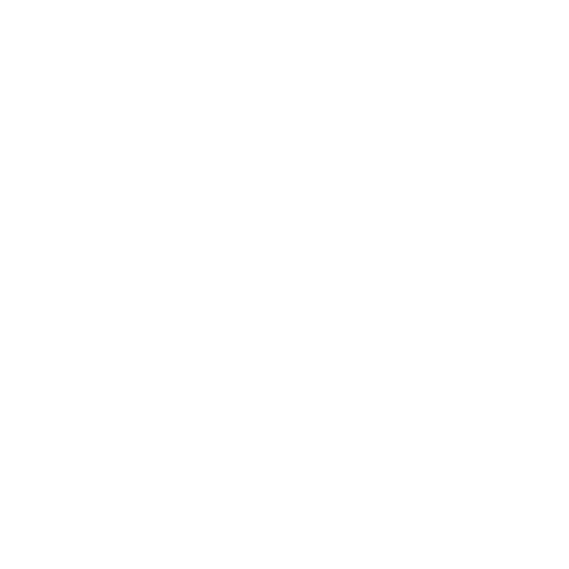 Flying Eagles logo